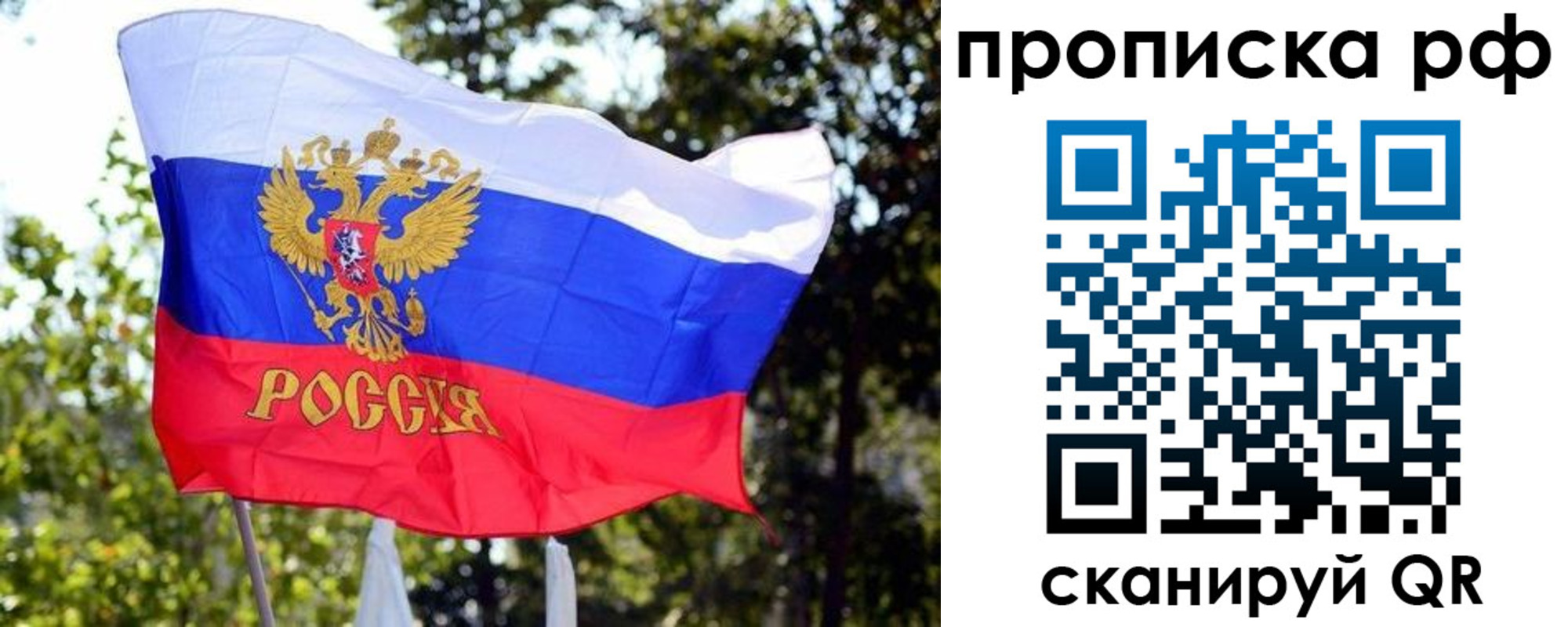 временная регистрация надежно в Почепе